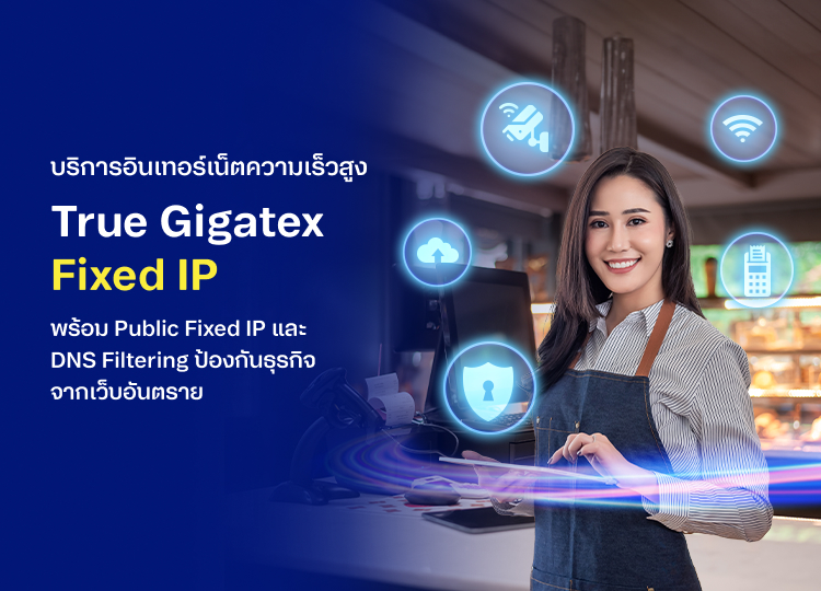 Banner-True-Gigatex-Fixed-IP-mobile