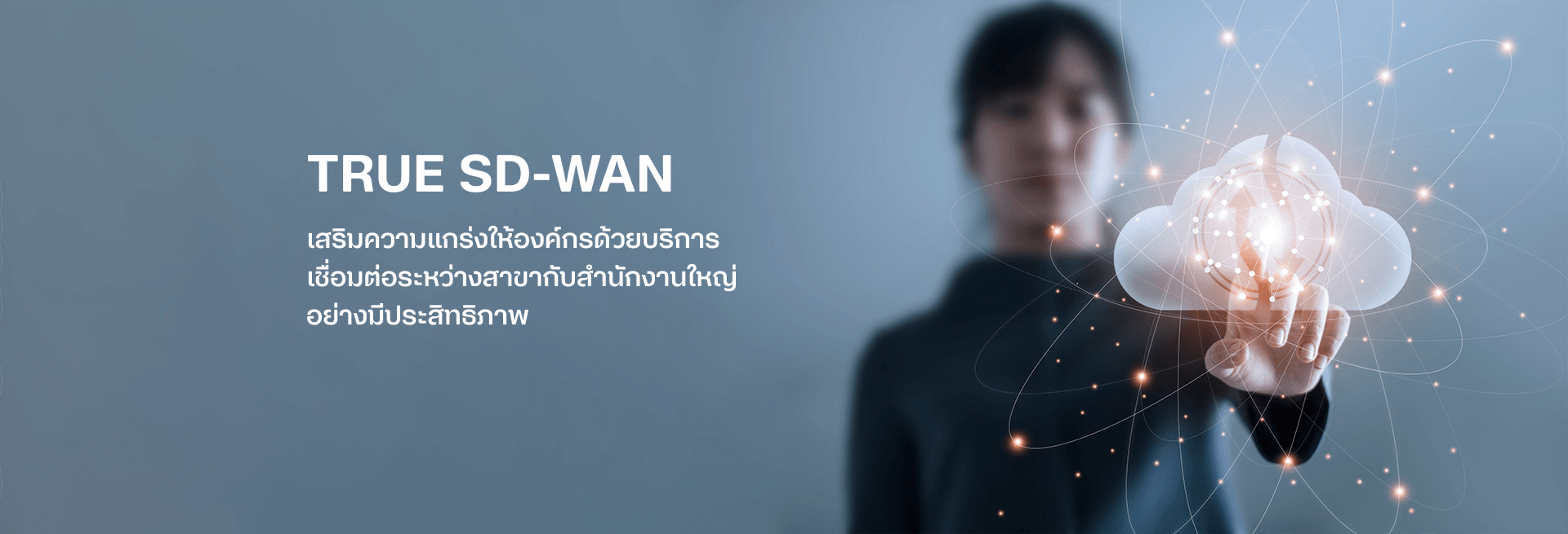 banner-true-sd-wan-desktop