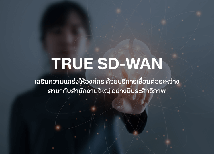 banner-true-sd-wan-mobile